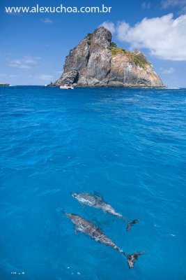 Passeio de Barco, Fernando de Noronha, Pernambuco 8655 090915.jpg