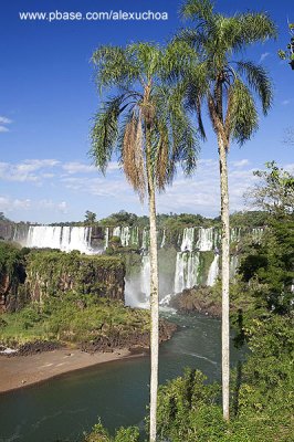 Cataratas do Iguacu- vista lado argentino- Argentina 0019.jpg