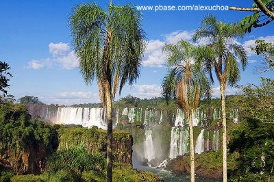 Cataratas do Iguacu- vista lado argentino- Argentina 9977.jpg