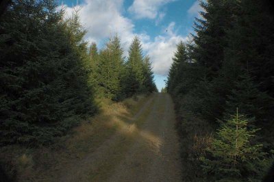 Wanderung nach Hahnenklee