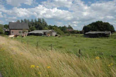 Rural Gelderland