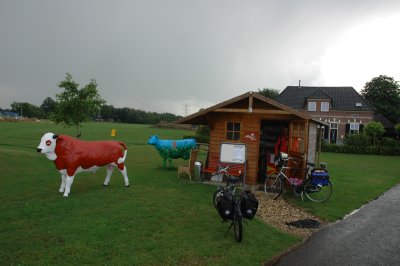 Free milk is offered in this refreshment station (the cow is artificial)
