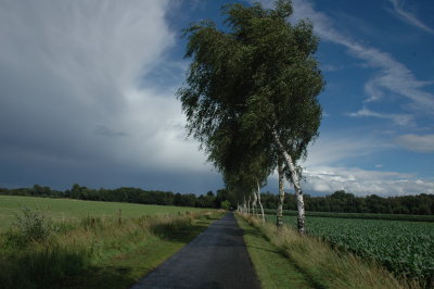 Near Vreden