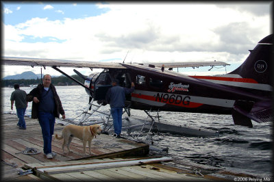 The pilot/guide gets ready ... while the dog plays