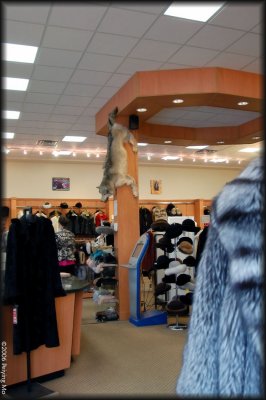 The fur store makes me feel as if I were in Russia