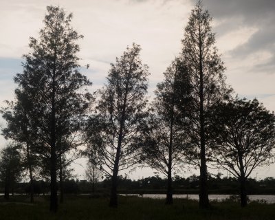 EPSN0323.jpg