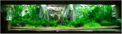 About 6 month after set up