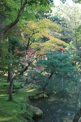 Kokedera (Moss Temple) Kyoto Japan 2009