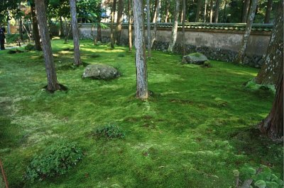 Kokedera (Moss Temple) Kyoto Japan 2009