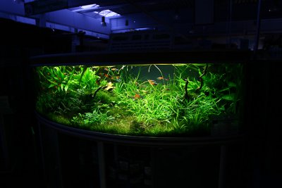 11th month after set up