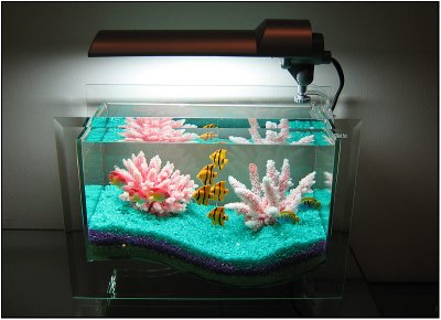 Special Marine Tank