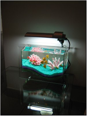 Special Marine Tank