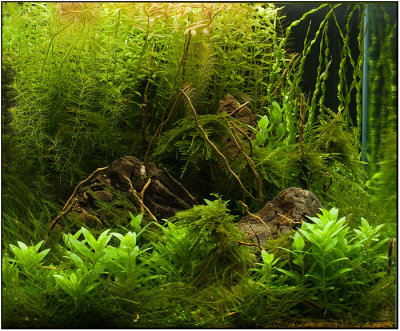 3 month after set up