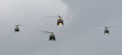 WEBIMG_0982_M.jpg