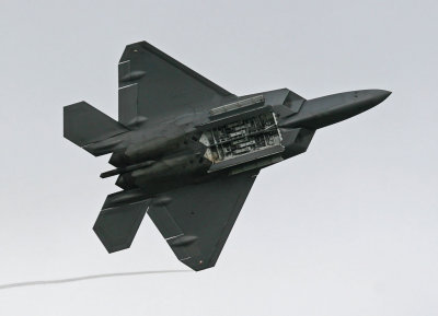 WEBIMG_1376_M.jpg