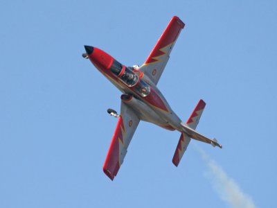 IMG_3666_M.jpg