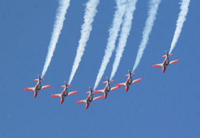 IMG_3706_M.jpg