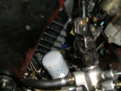 STP60409.JPG