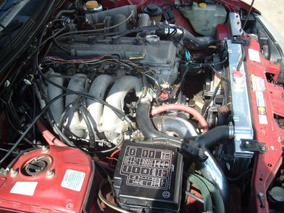 DSCF2043.JPG
