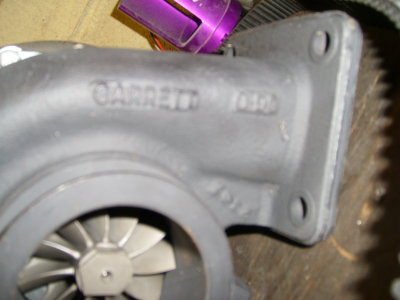 STP60278.JPG