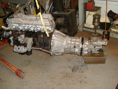 STP60296.JPG