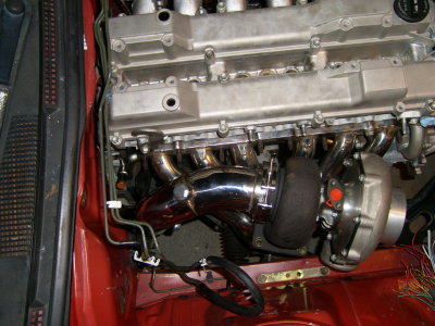 STP60305.JPG