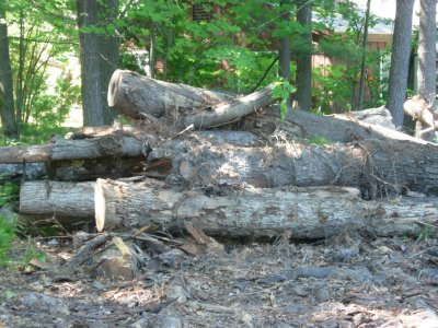 More Lumber to Be.JPG