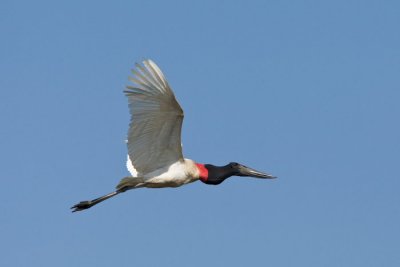 OGP_20080901_2340.JPG