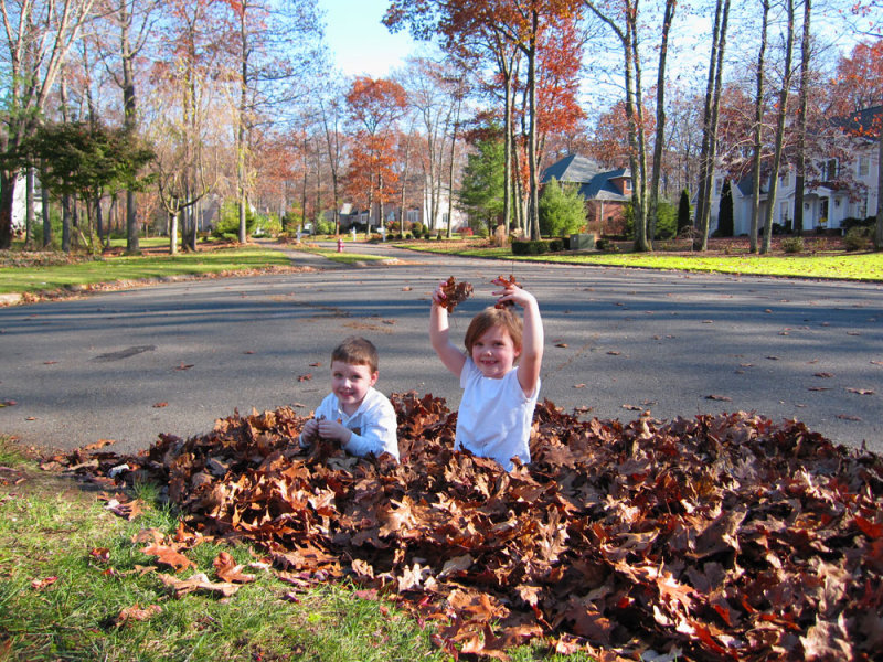 kids_leafpile.jpg