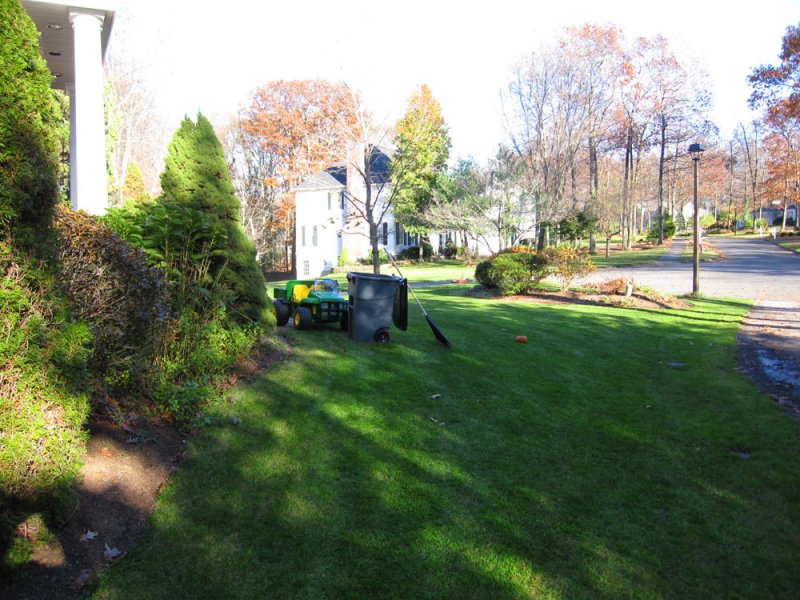 yard_mow2.jpg