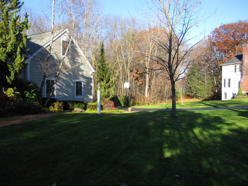 yard_mow3.jpg