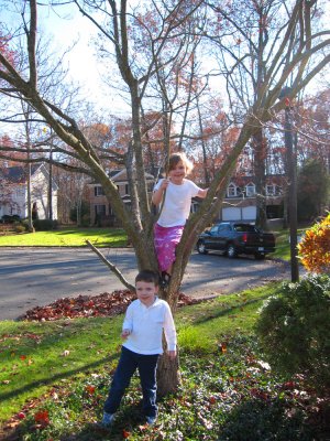 kids_tree.jpg