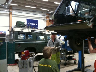 Ekeroot hjlper till 1