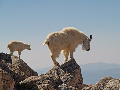 Climbing Lesson