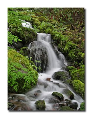 Mt Rainier National Park