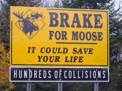 Brake for Moose sign - Rte. 3