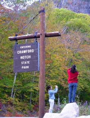 Lots of Foliage Photographers out