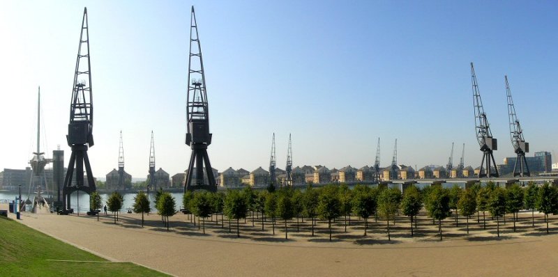 Cranes_ pano.JPG