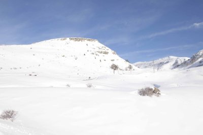 _MG_0383.jpg