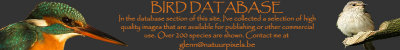 BirdDatabase.jpg