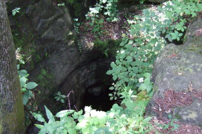 DSCF1227.JPG