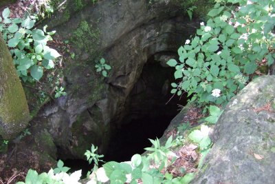 DSCF1231.JPG