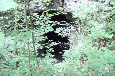 DSCF1234.JPG