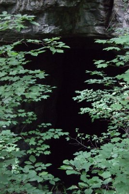 DSCF1236.JPG