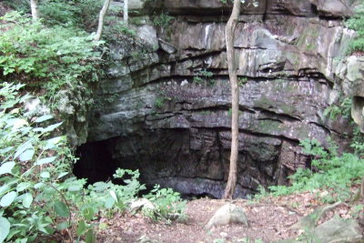 DSCF1237.JPG