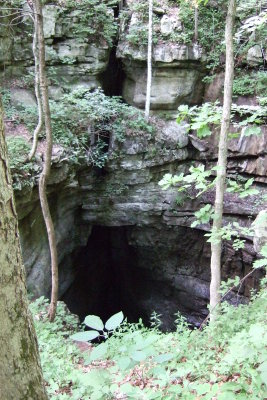 DSCF1238.JPG