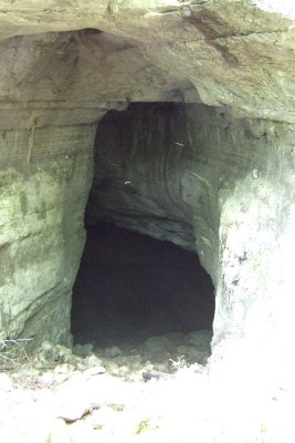 DSCF1242.JPG