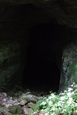 DSCF1243.JPG