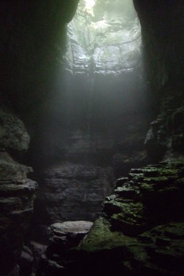 DSCF1254.JPG