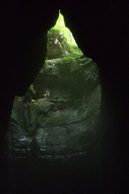 DSCF1256.JPG